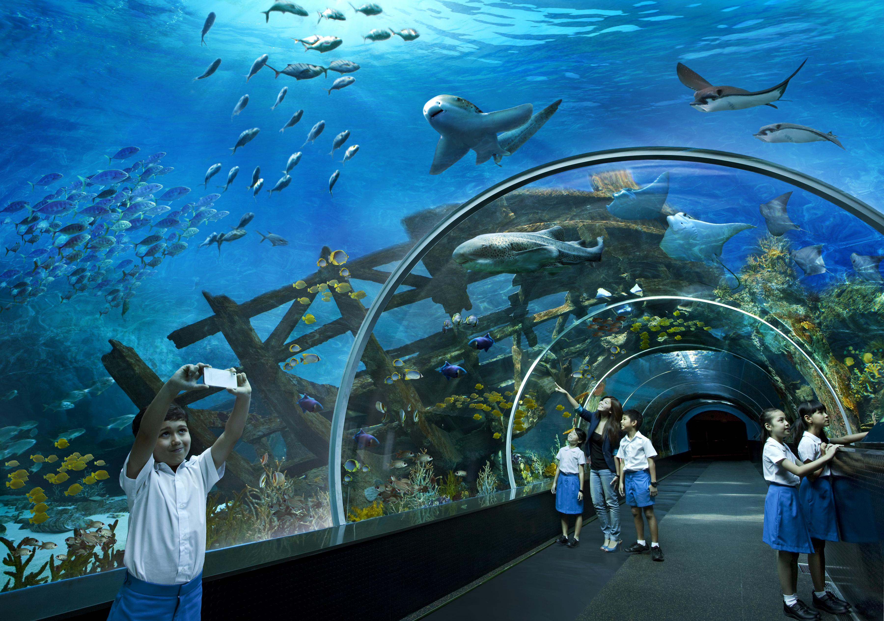 Resorts World Sentosa - Hotel Michael Szingapúr Kültér fotó